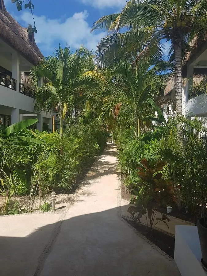 Hotel Playa Arena Isla Mujeres 0*,  Mexico
